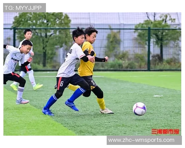 足球y引领新潮流探讨未来足球发展的创新与挑战 足球y引领新潮流探讨未来足球发展的创新与挑战